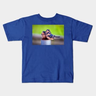 Barn Swallow Baby Trio Kids T-Shirt